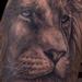Tattoos - Lion - 94948
